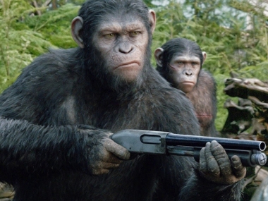 ������������ ���� 2014.17/07