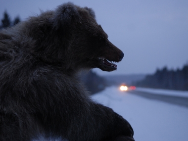 ����������� ����������� ����������� � ������