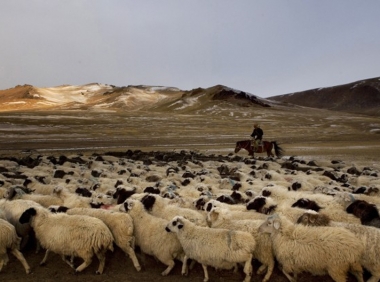 ���������� � ��������: �������, ��� ��� ��������