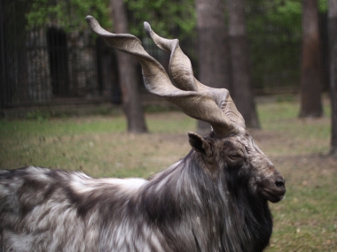 �������� ��� ��������� 2015:  ������ ���� �������!