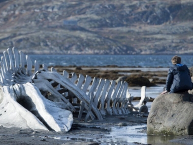 ���������� ������� �������� ������