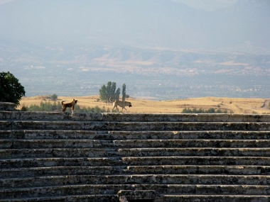 � ������� �������� ����� ���������� ����������