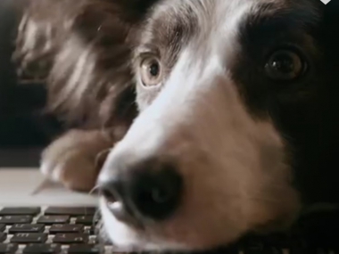 ������� ������ �������� 