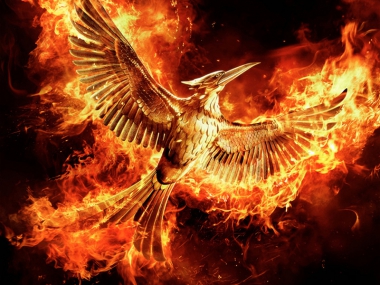 ��������� �����:  ����� ����� ����� 