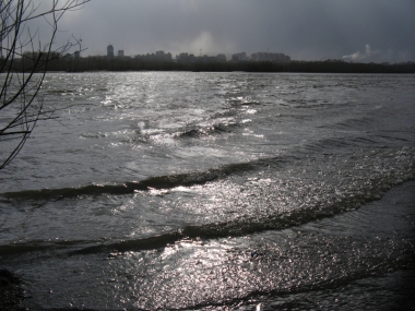 ����� ����� ������ �� ���� ����