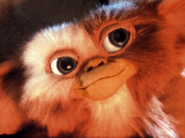 ����������  ������������ � ������ �������